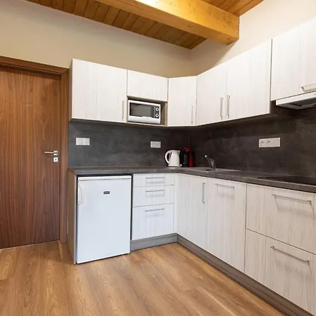Apartmany Pod Zakletym - Hotel Ricky Exterior photo