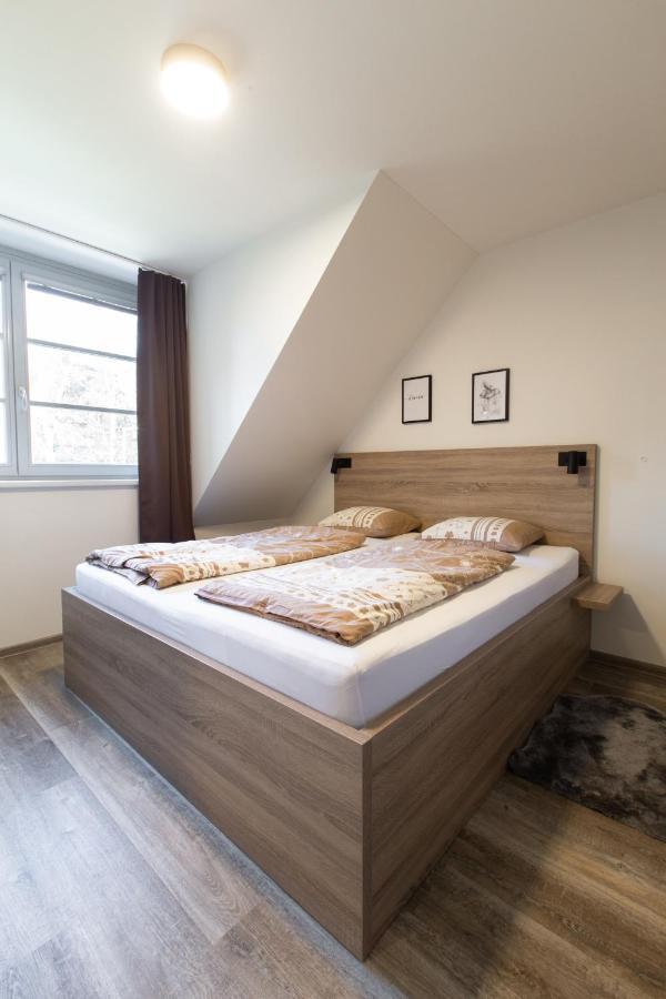 Pod Zakletym - Apartment *