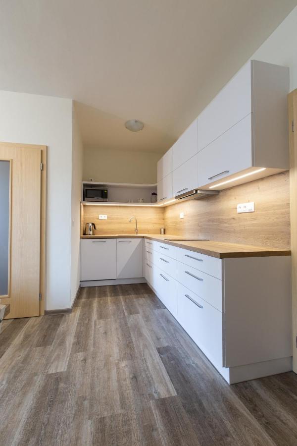 Pod Zakletym - Apartment