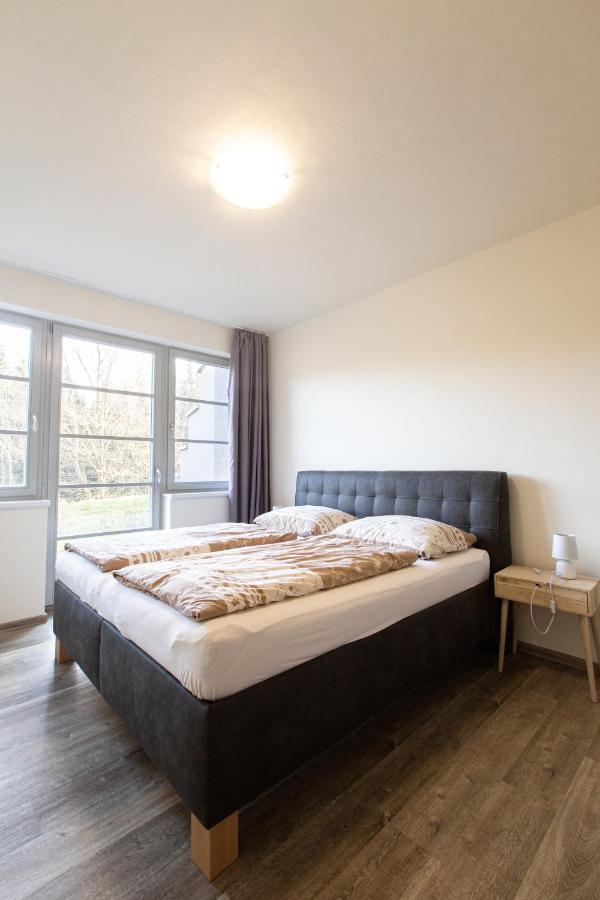 Pod Zakletym - Apartment Ricky (Hradec Kralove)