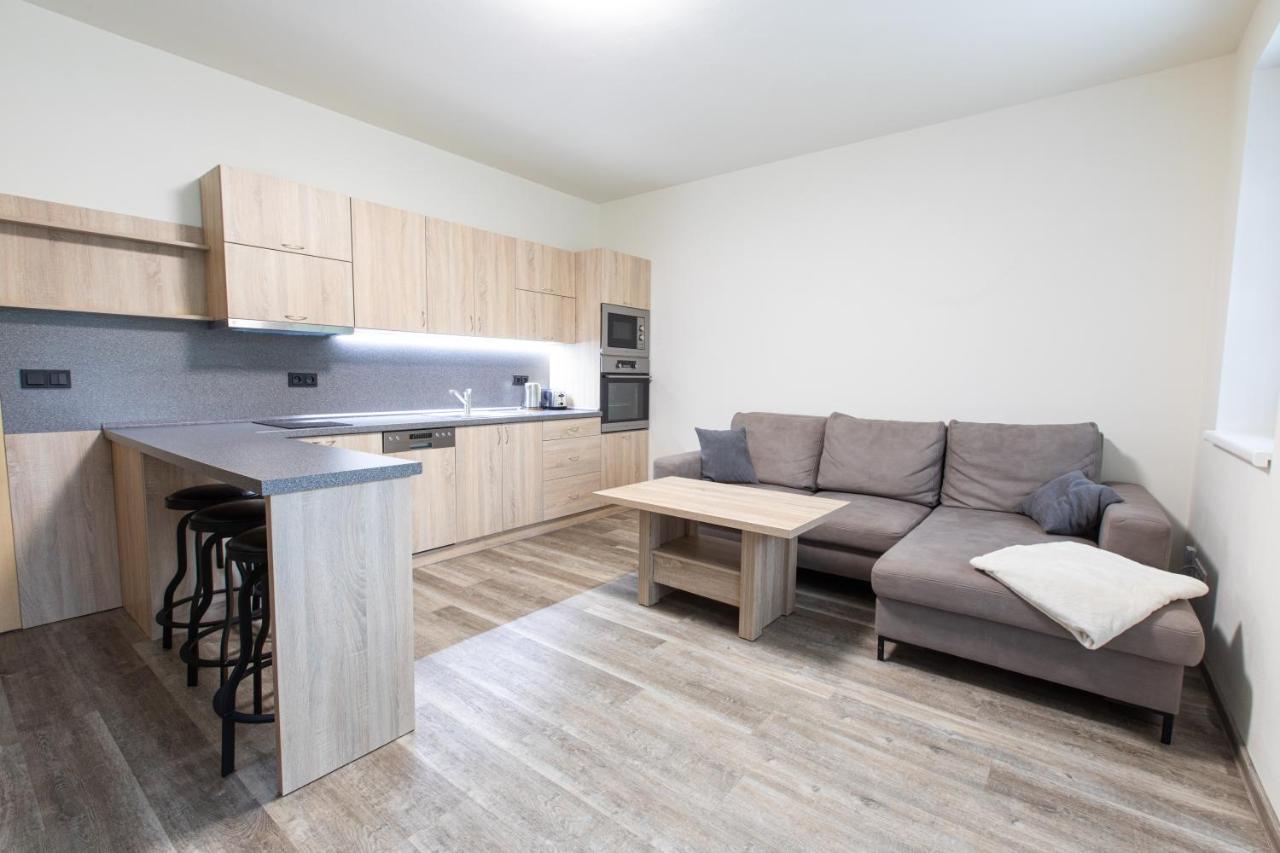 Pod Zakletym - Apartment Ricky (Hradec Kralove)