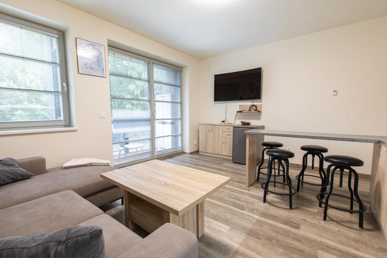 Pod Zakletym - Apartment
