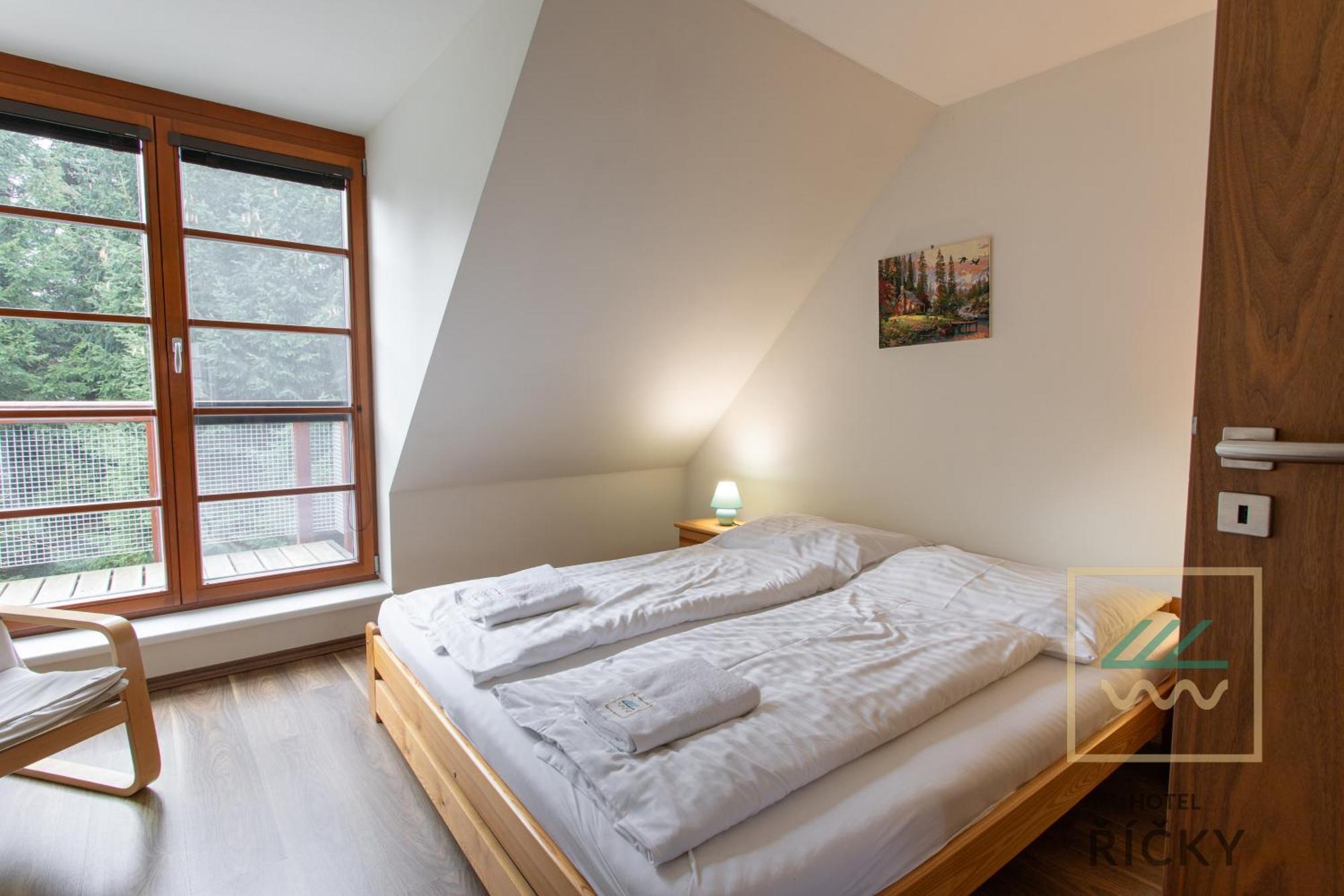 Pod Zakletym - Apartment Ricky (Hradec Kralove)