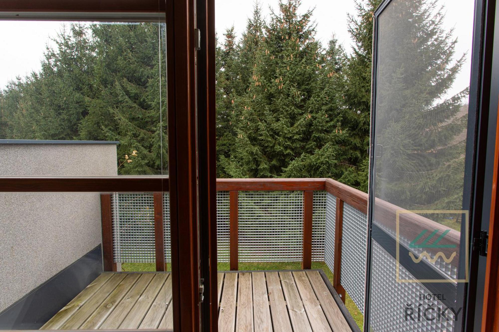Pod Zakletym - Apartment Ricky (Hradec Kralove)